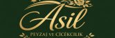 asilpeyzaj